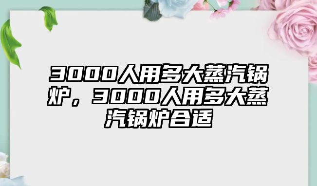 3000人用多大蒸汽鍋爐，3000人用多大蒸汽鍋爐合適