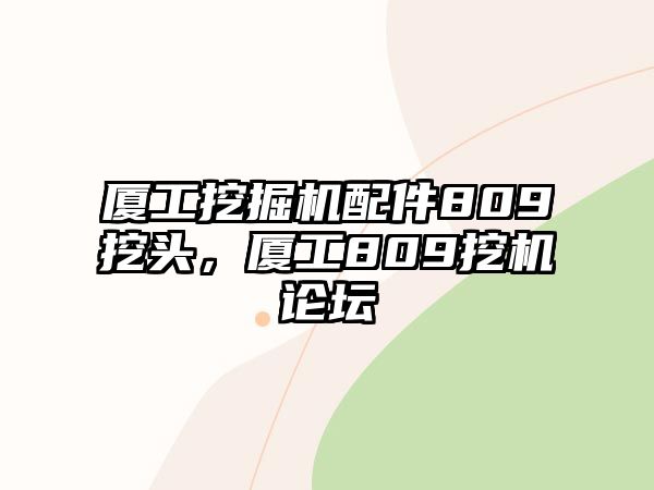 廈工挖掘機配件809挖頭，廈工809挖機論壇