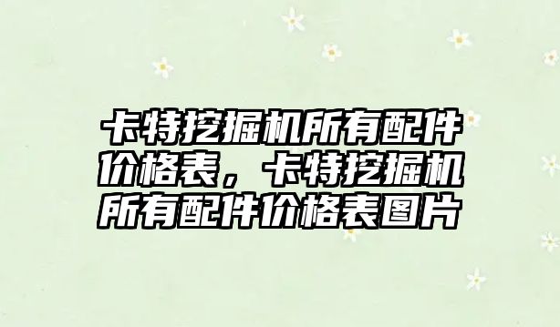 卡特挖掘機所有配件價格表，卡特挖掘機所有配件價格表圖片