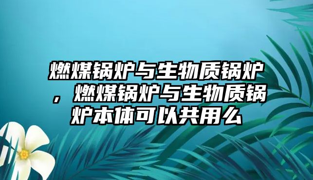 燃煤鍋爐與生物質(zhì)鍋爐，燃煤鍋爐與生物質(zhì)鍋爐本體可以共用么