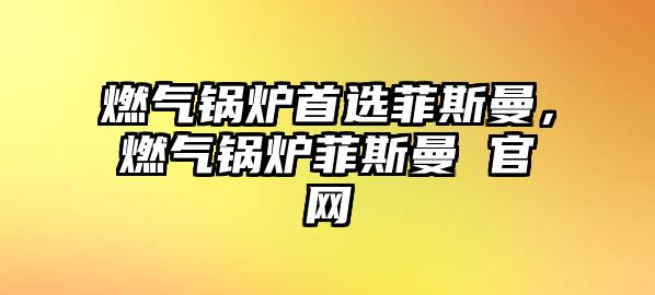 燃?xì)忮仩t首選菲斯曼，燃?xì)忮仩t菲斯曼 官網(wǎng)