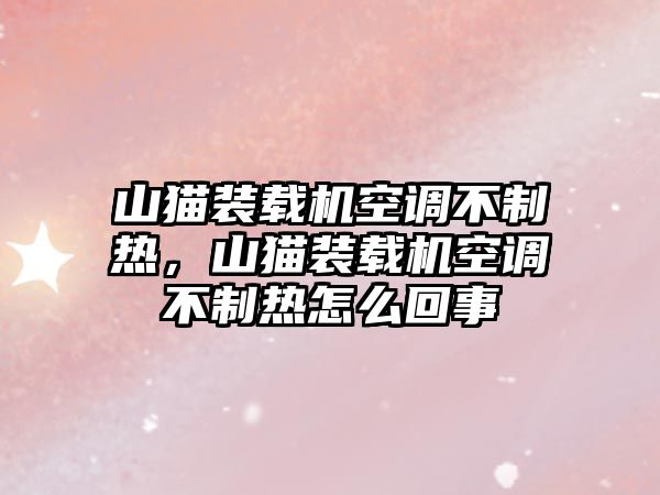 山貓裝載機(jī)空調(diào)不制熱，山貓裝載機(jī)空調(diào)不制熱怎么回事