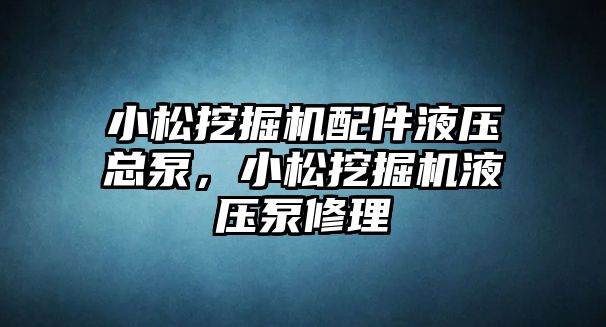 小松挖掘機配件液壓總泵，小松挖掘機液壓泵修理