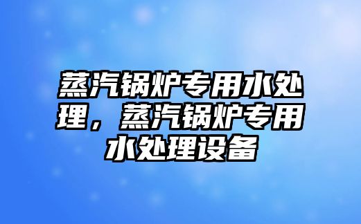 蒸汽鍋爐專用水處理，蒸汽鍋爐專用水處理設備