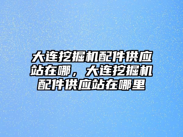 大連挖掘機配件供應站在哪，大連挖掘機配件供應站在哪里