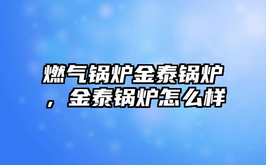 燃?xì)忮仩t金泰鍋爐，金泰鍋爐怎么樣