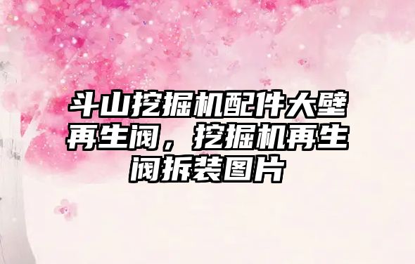 斗山挖掘機配件大壁再生閥，挖掘機再生閥拆裝圖片