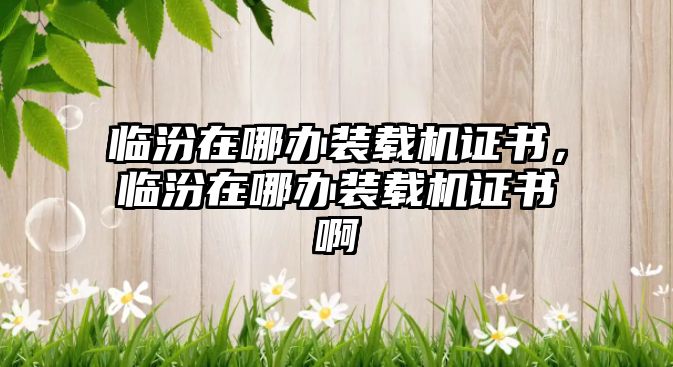 臨汾在哪辦裝載機證書，臨汾在哪辦裝載機證書啊