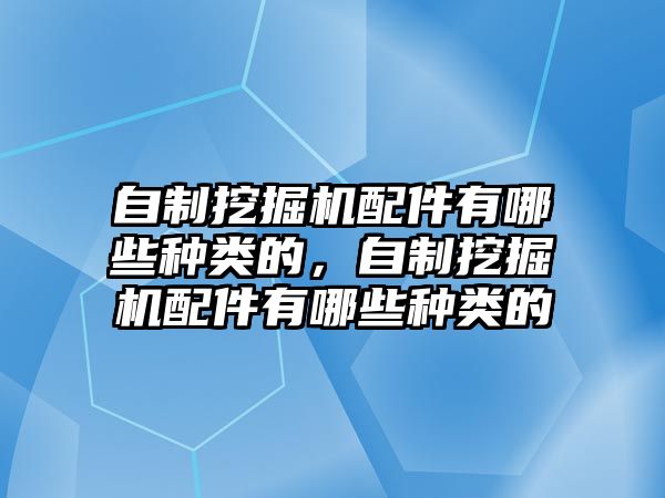 自制挖掘機(jī)配件有哪些種類的，自制挖掘機(jī)配件有哪些種類的