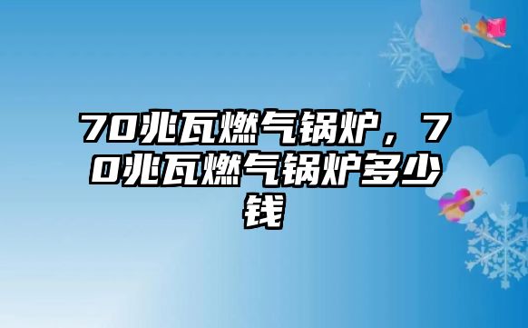 70兆瓦燃?xì)忮仩t，70兆瓦燃?xì)忮仩t多少錢