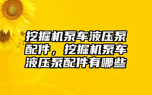 挖掘機泵車液壓泵配件，挖掘機泵車液壓泵配件有哪些