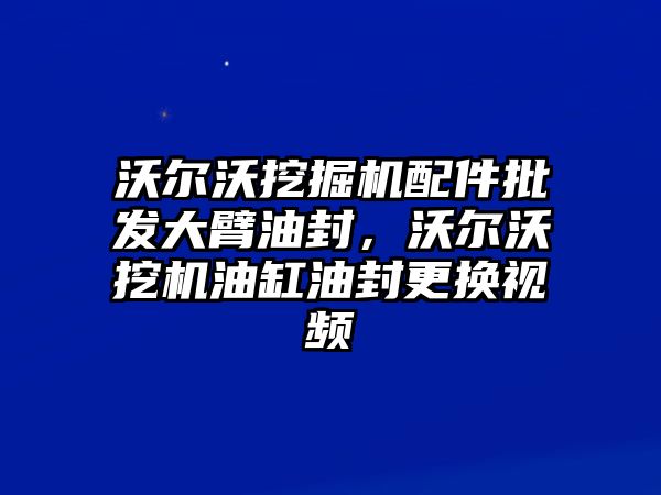 沃爾沃挖掘機配件批發(fā)大臂油封，沃爾沃挖機油缸油封更換視頻