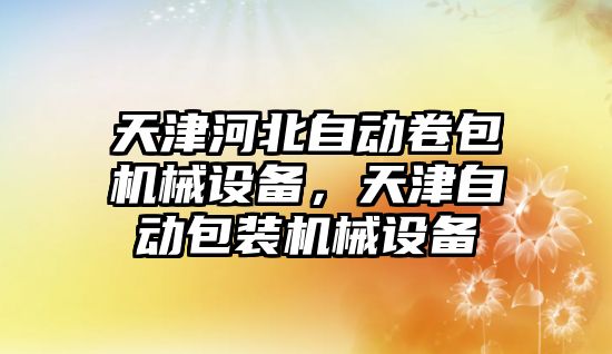 天津河北自動卷包機械設備，天津自動包裝機械設備