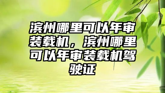 濱州哪里可以年審裝載機，濱州哪里可以年審裝載機駕駛證