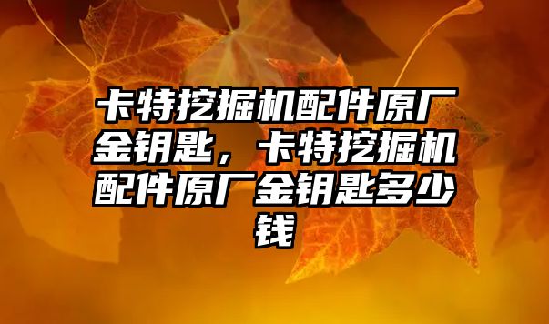 卡特挖掘機配件原廠金鑰匙，卡特挖掘機配件原廠金鑰匙多少錢