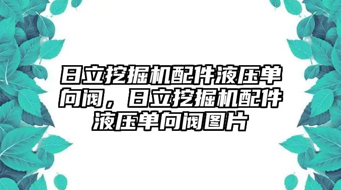 日立挖掘機(jī)配件液壓?jiǎn)蜗蜷y，日立挖掘機(jī)配件液壓?jiǎn)蜗蜷y圖片