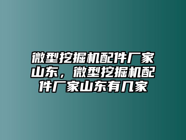 微型挖掘機配件廠家山東，微型挖掘機配件廠家山東有幾家