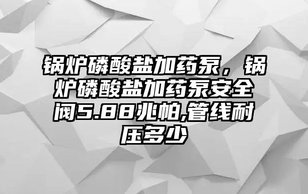 鍋爐磷酸鹽加藥泵，鍋爐磷酸鹽加藥泵安全閥5.88兆帕,管線耐壓多少