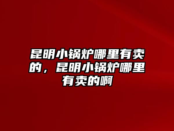 昆明小鍋爐哪里有賣(mài)的，昆明小鍋爐哪里有賣(mài)的啊