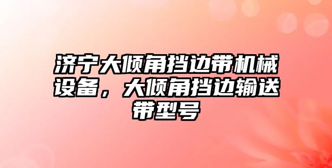 濟寧大傾角擋邊帶機械設(shè)備，大傾角擋邊輸送帶型號