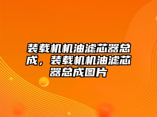 裝載機機油濾芯器總成，裝載機機油濾芯器總成圖片