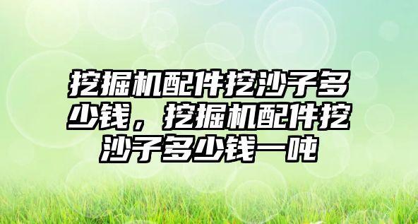 挖掘機配件挖沙子多少錢，挖掘機配件挖沙子多少錢一噸