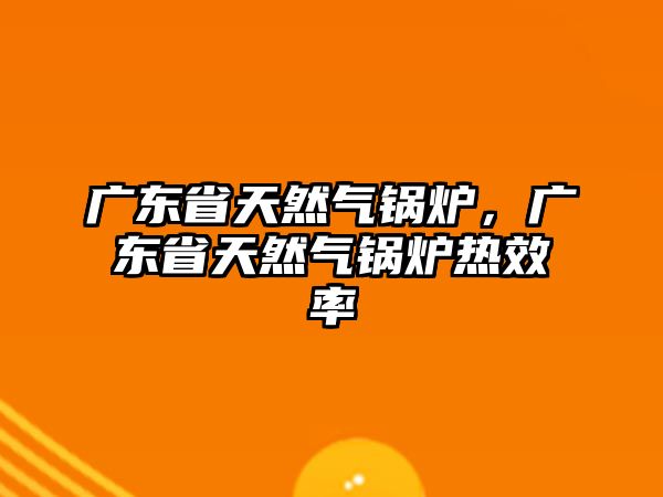 廣東省天然氣鍋爐，廣東省天然氣鍋爐熱效率