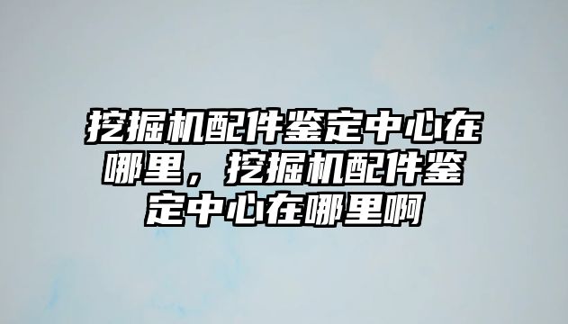 挖掘機配件鑒定中心在哪里，挖掘機配件鑒定中心在哪里啊