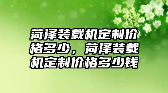 菏澤裝載機(jī)定制價(jià)格多少，菏澤裝載機(jī)定制價(jià)格多少錢