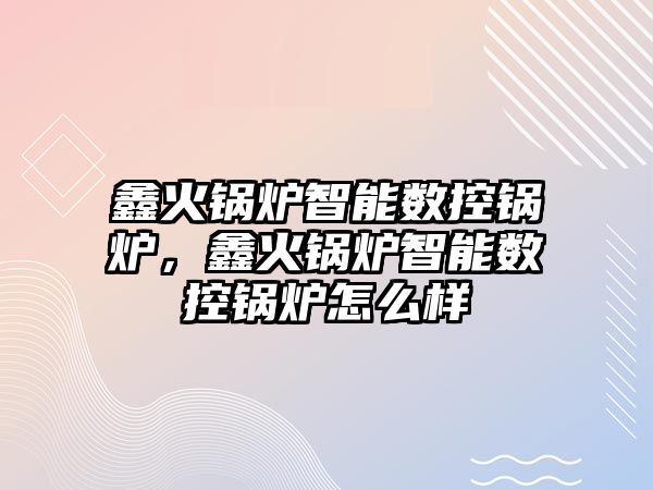 鑫火鍋爐智能數(shù)控鍋爐，鑫火鍋爐智能數(shù)控鍋爐怎么樣