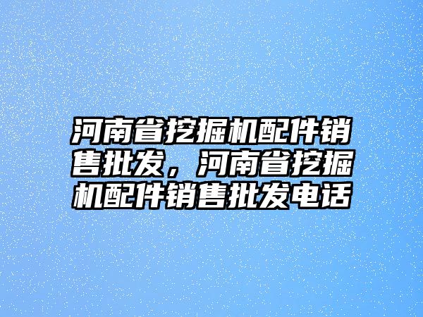 河南省挖掘機(jī)配件銷售批發(fā)，河南省挖掘機(jī)配件銷售批發(fā)電話