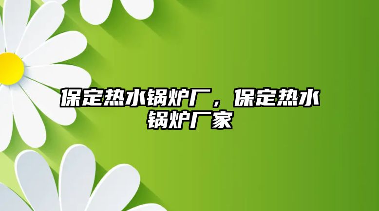 保定熱水鍋爐廠，保定熱水鍋爐廠家