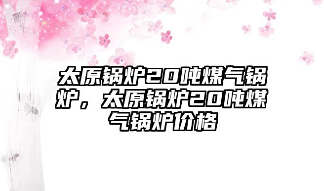 太原鍋爐20噸煤氣鍋爐，太原鍋爐20噸煤氣鍋爐價(jià)格