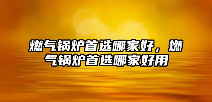 燃?xì)忮仩t首選哪家好，燃?xì)忮仩t首選哪家好用