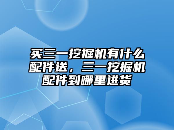 買三一挖掘機(jī)有什么配件送，三一挖掘機(jī)配件到哪里進(jìn)貨