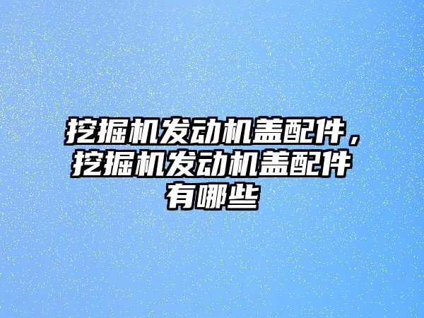 挖掘機(jī)發(fā)動(dòng)機(jī)蓋配件，挖掘機(jī)發(fā)動(dòng)機(jī)蓋配件有哪些