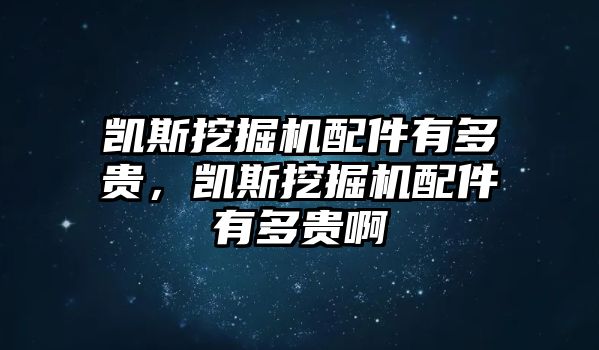 凱斯挖掘機配件有多貴，凱斯挖掘機配件有多貴啊