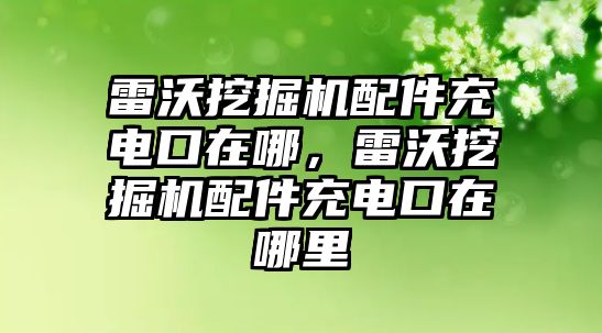 雷沃挖掘機(jī)配件充電口在哪，雷沃挖掘機(jī)配件充電口在哪里