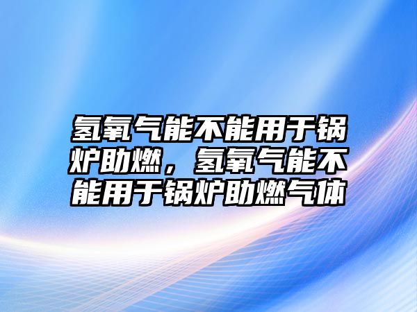 氫氧氣能不能用于鍋爐助燃，氫氧氣能不能用于鍋爐助燃?xì)怏w