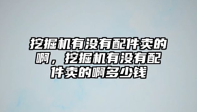 挖掘機(jī)有沒有配件賣的啊，挖掘機(jī)有沒有配件賣的啊多少錢