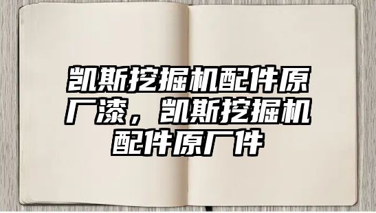 凱斯挖掘機(jī)配件原廠漆，凱斯挖掘機(jī)配件原廠件