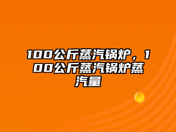 100公斤蒸汽鍋爐，100公斤蒸汽鍋爐蒸汽量