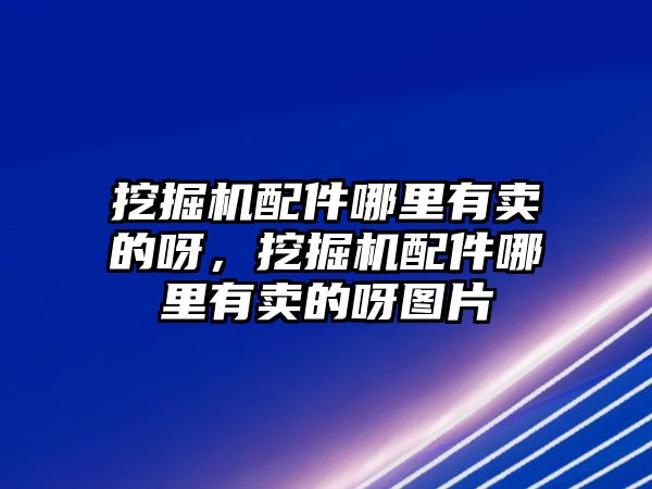 挖掘機(jī)配件哪里有賣的呀，挖掘機(jī)配件哪里有賣的呀圖片