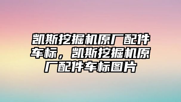 凱斯挖掘機原廠配件車標，凱斯挖掘機原廠配件車標圖片