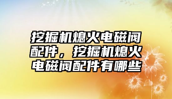 挖掘機(jī)熄火電磁閥配件，挖掘機(jī)熄火電磁閥配件有哪些