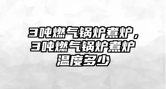 3噸燃?xì)忮仩t煮爐，3噸燃?xì)忮仩t煮爐溫度多少