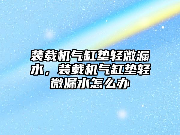 裝載機氣缸墊輕微漏水，裝載機氣缸墊輕微漏水怎么辦