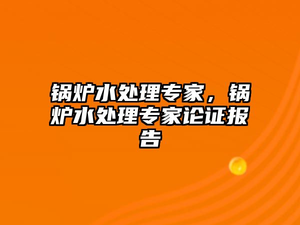 鍋爐水處理專家，鍋爐水處理專家論證報(bào)告