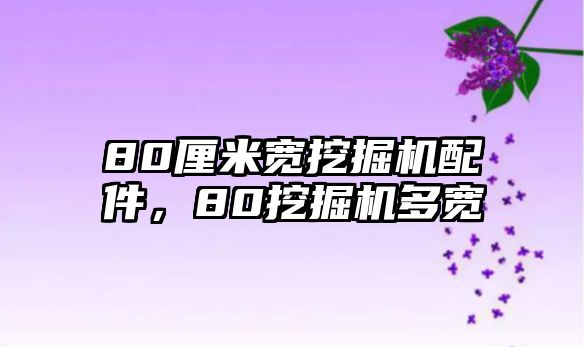 80厘米寬挖掘機(jī)配件，80挖掘機(jī)多寬