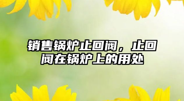 銷售鍋爐止回閥，止回閥在鍋爐上的用處